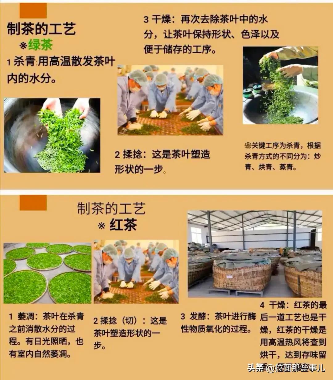 茶叶品种分类及价格