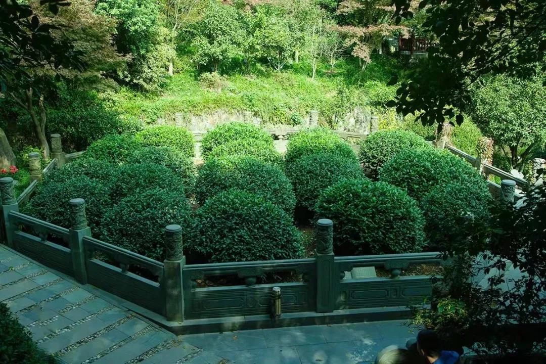 中国茶叶排名前十价格