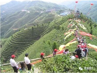 茶叶产地价格贵吗