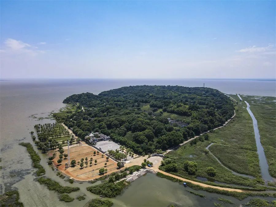 名贵茶叶排行价格