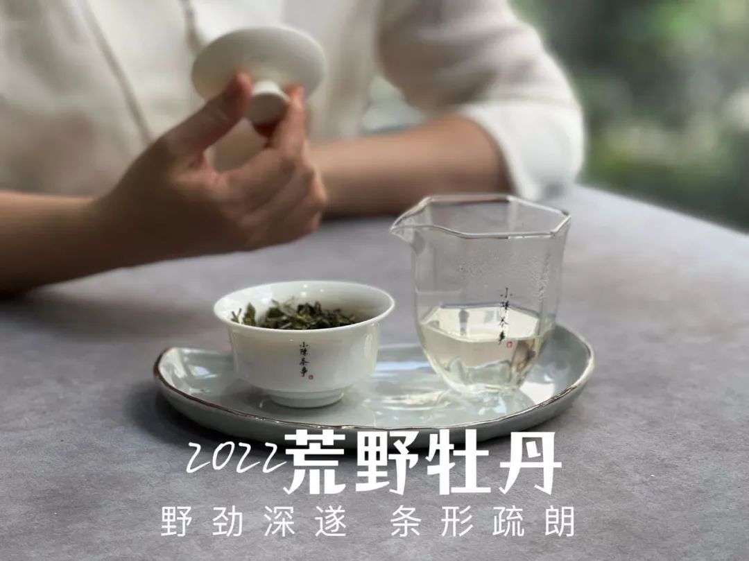 茶叶品种及价格大全