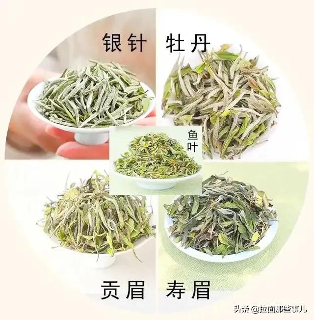 茶叶品种分类及价格