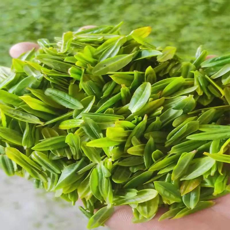 中国茶叶排名前十价格